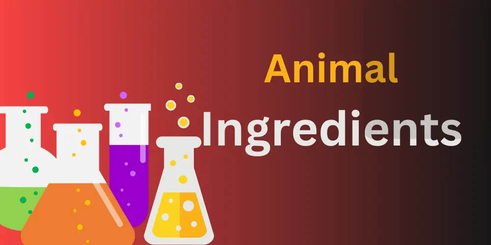 What Animal Ingredients Are In makeup