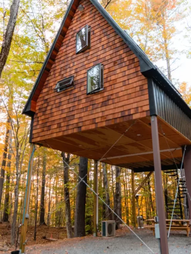 11 family-friendly treehouse hotels, rentals