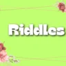 100 Amazing Riddles For 55 Year Old