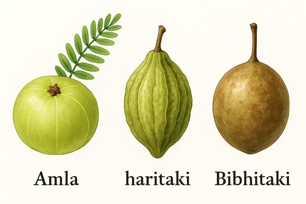 Triphala Powder