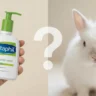 Is Cetaphil Cruelty Free